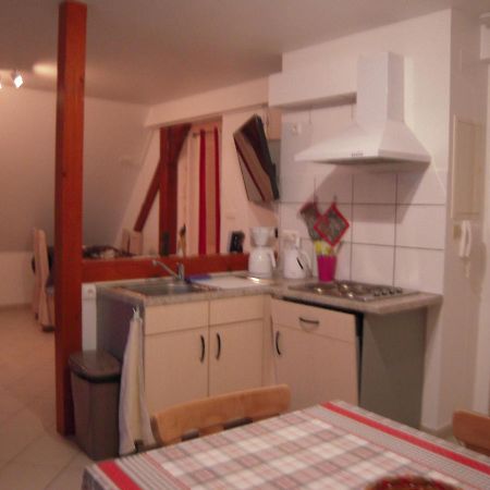 Bel Appartement De Charme De 70 M2 Thannenkirch Dış mekan fotoğraf