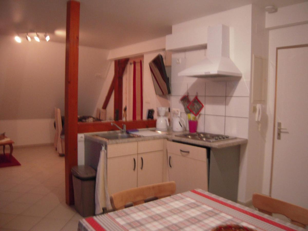 Bel Appartement De Charme De 70 M2 Thannenkirch Dış mekan fotoğraf