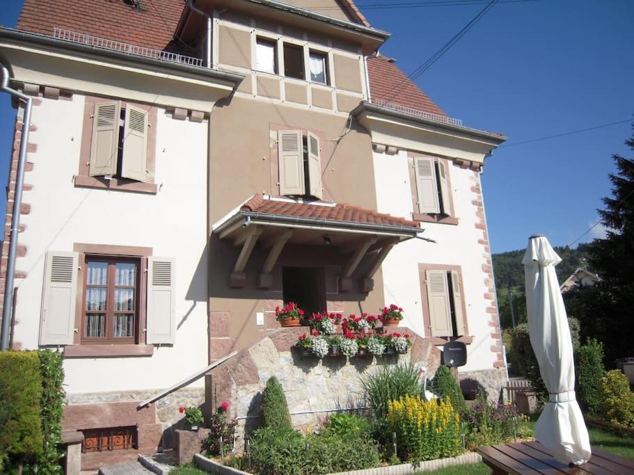 Bel Appartement De Charme De 70 M2 Thannenkirch Dış mekan fotoğraf