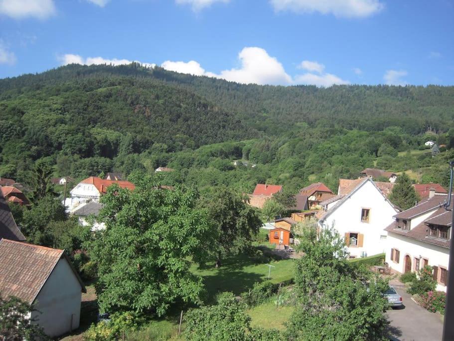 Bel Appartement De Charme De 70 M2 Thannenkirch Dış mekan fotoğraf
