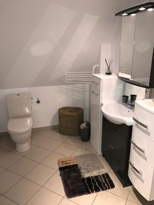 Bel Appartement De Charme De 70 M2 Thannenkirch Dış mekan fotoğraf