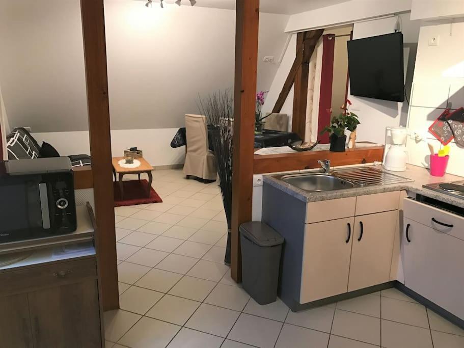 Bel Appartement De Charme De 70 M2 Thannenkirch Dış mekan fotoğraf