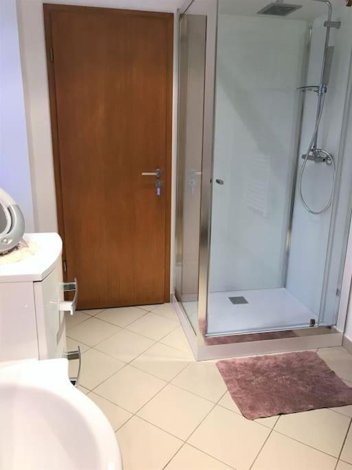 Bel Appartement De Charme De 70 M2 Thannenkirch Dış mekan fotoğraf